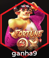 Cashback